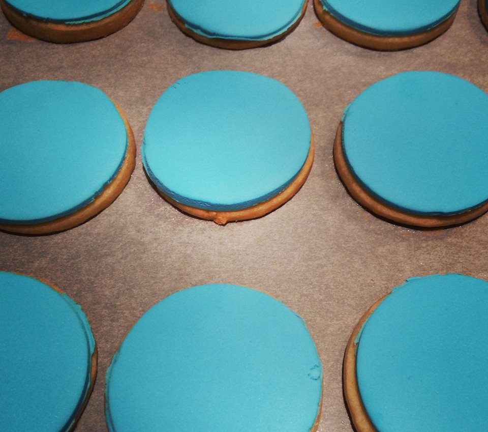 18033933_1295921003823689_7576301636812266505_n