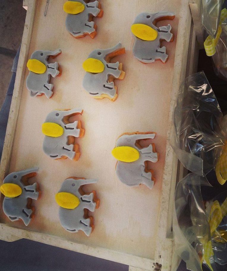 18700019_1340618009353988_1408488450961317063_n