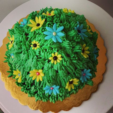 18056657_1297176567031466_1430242133485442337_n