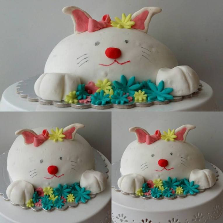 17821648_10212975264596835_1663378717_n